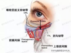 去肿眼泡手术前后图片(肿眼泡手术过程)