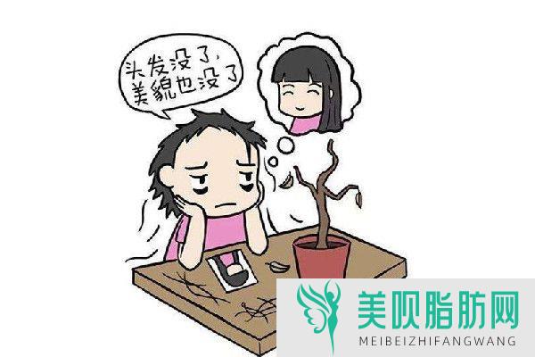 高手解答广州头发种植价格 黑发常驻变的轻而易举