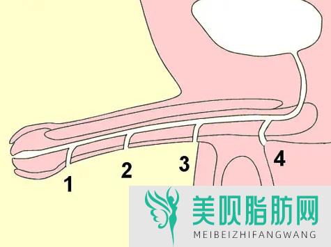 细致说说双下巴快速消除的方法，怎样能快速消除双下巴