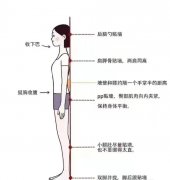 女人怎么减腿快(女人瘦腿的方法)